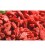 baies de goji barquette 150g